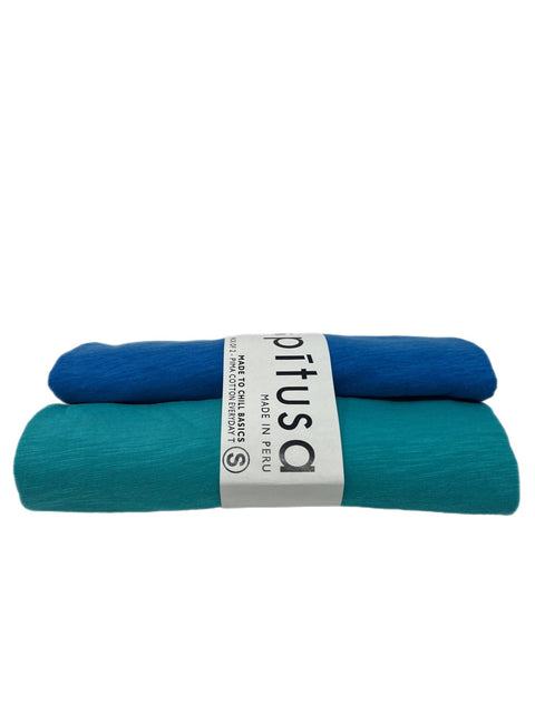 Basic Unisex T-Shirt 2-Pack